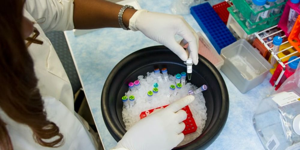 woman working with test tubes in lab